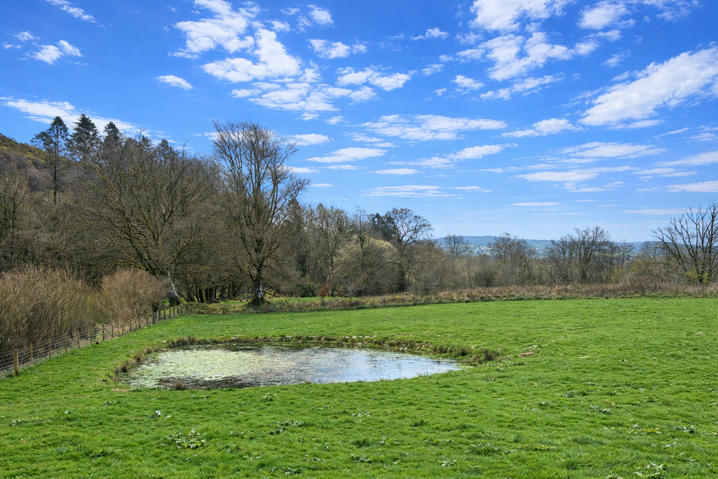 Ornamental pond