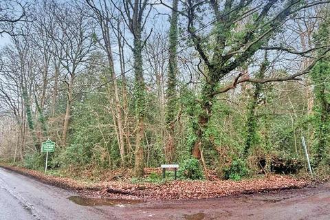 undefined, Long Reach, Ockham, WOKING
