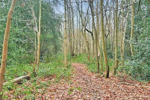 undefined, Long Reach, Ockham, WOKING