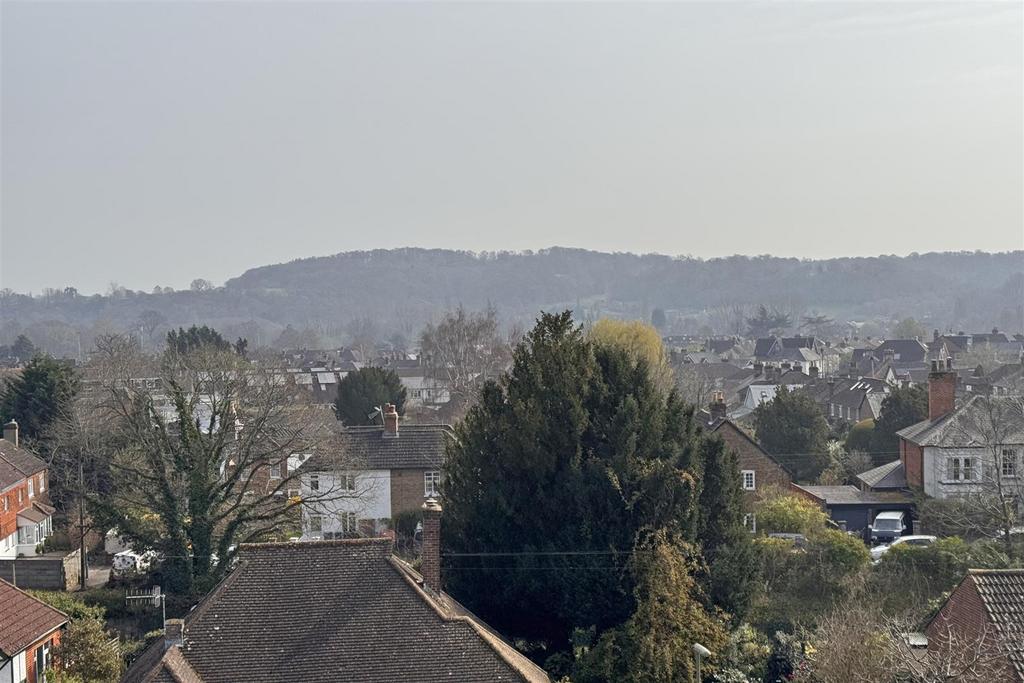 IMG 7141.jpg