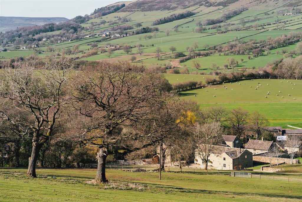 Grazing Land