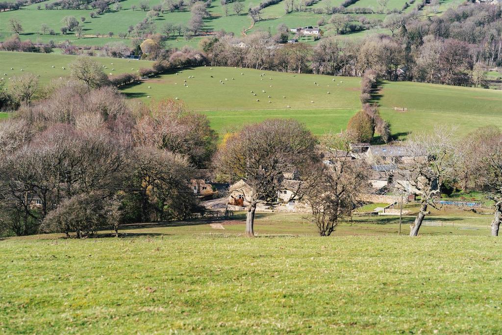 Grazing Land