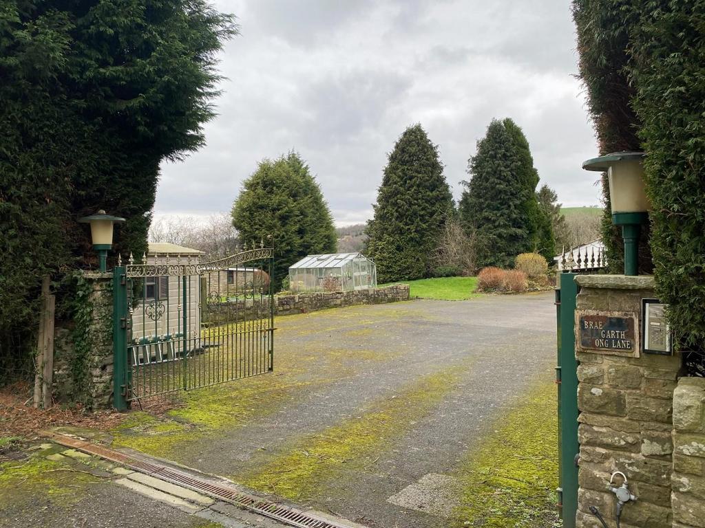 CW-23.jpg