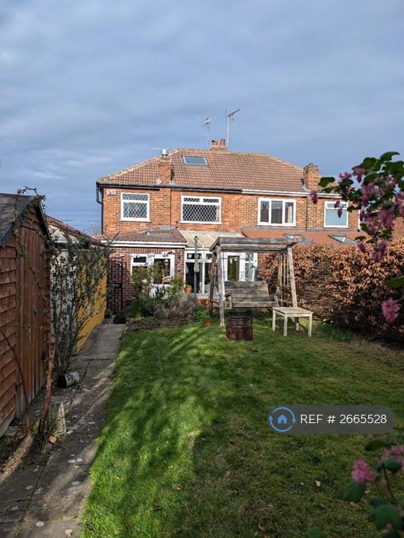 Back Garden