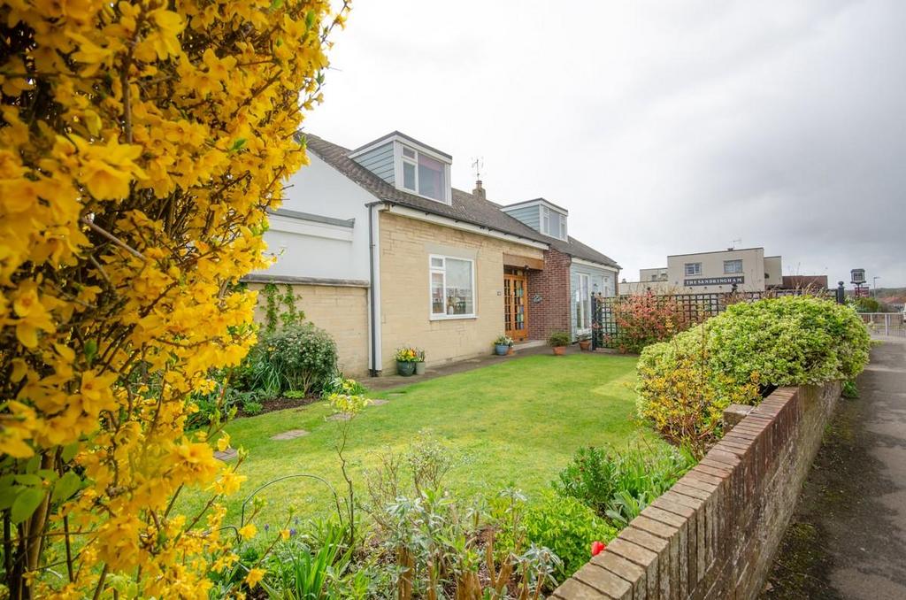 Front garden.jpg
