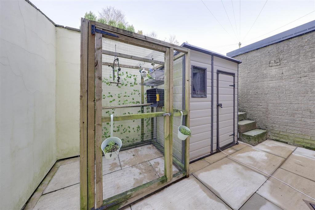 Rear Yard