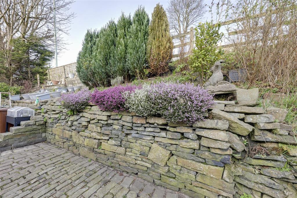 Rear Garden Area