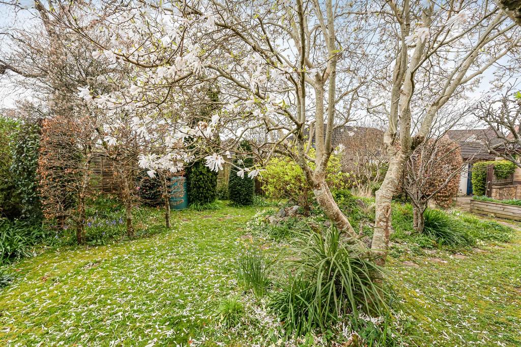 Garden (3)