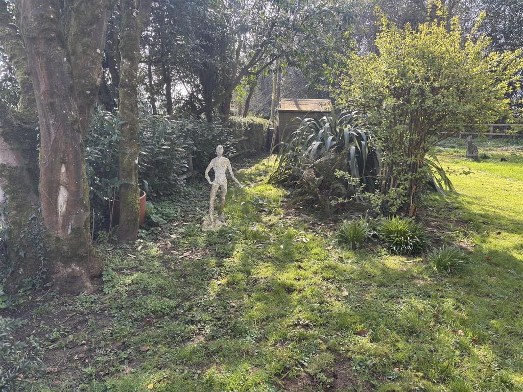Wans Cottage - Side Garden 3.jpeg