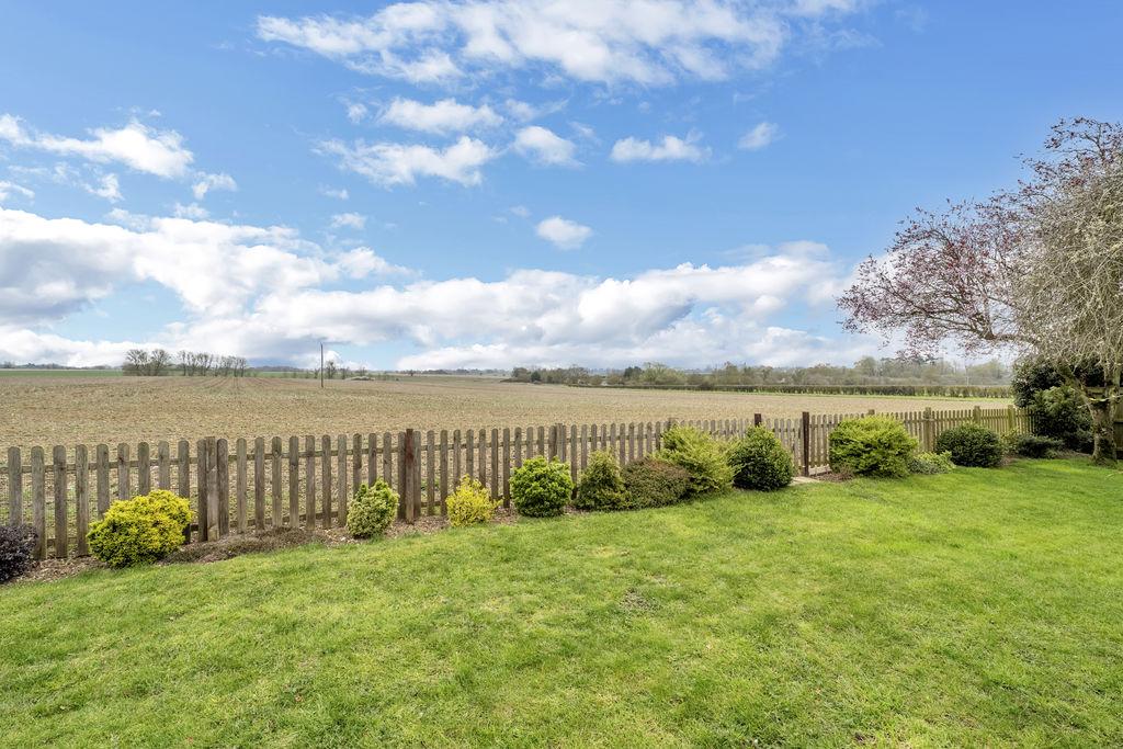 Field Views