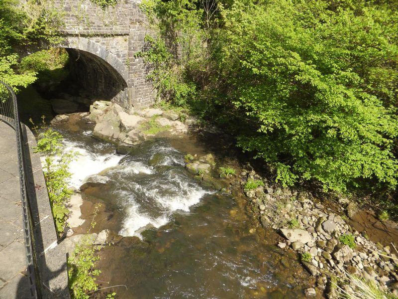 Stream