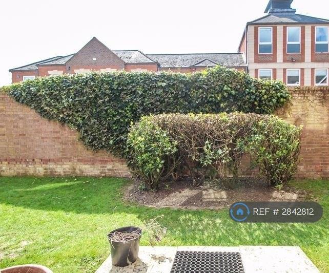 Patio And Garden