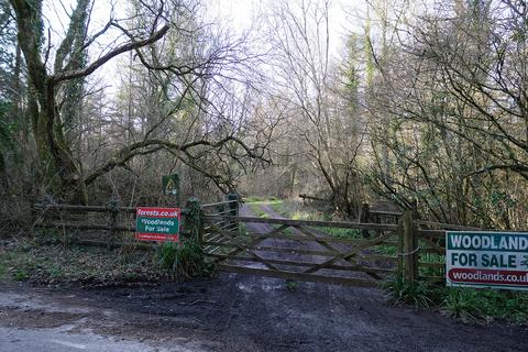 undefined, Middlemarsh, Dorchester DT2