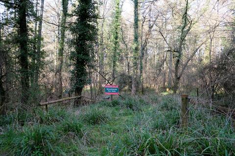 undefined, Middlemarsh, Dorchester DT2