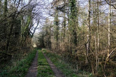 undefined, Middlemarsh, Dorchester DT2