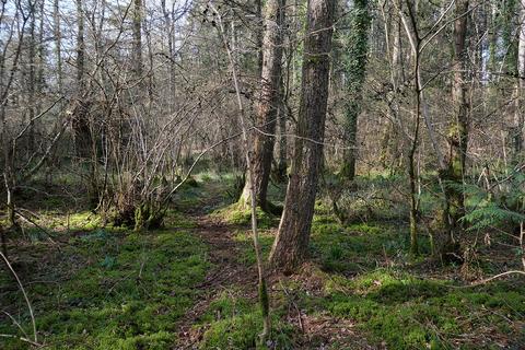 undefined, Middlemarsh, Dorchester DT2