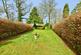 Additional image 23 of Madeley Manor, CREWE, Cheshire, CW3
