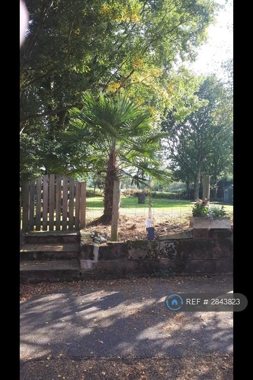 Shared Paddock & Whitegate Way
