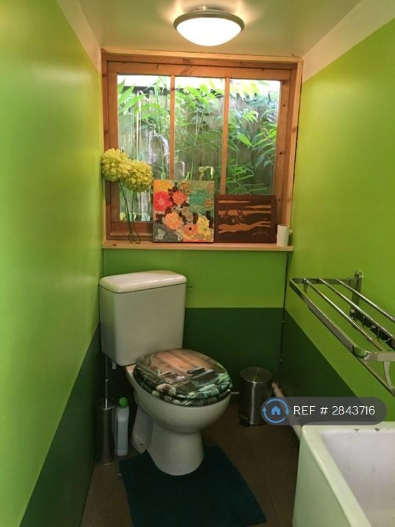 Funky Outside Loo