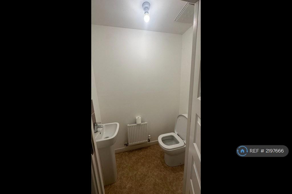 Downstair Toilet