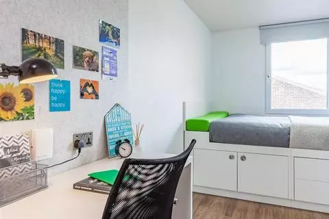 Studio to rent - Widok 2
