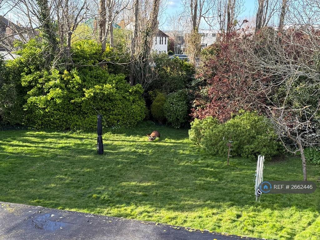 Communal Garden