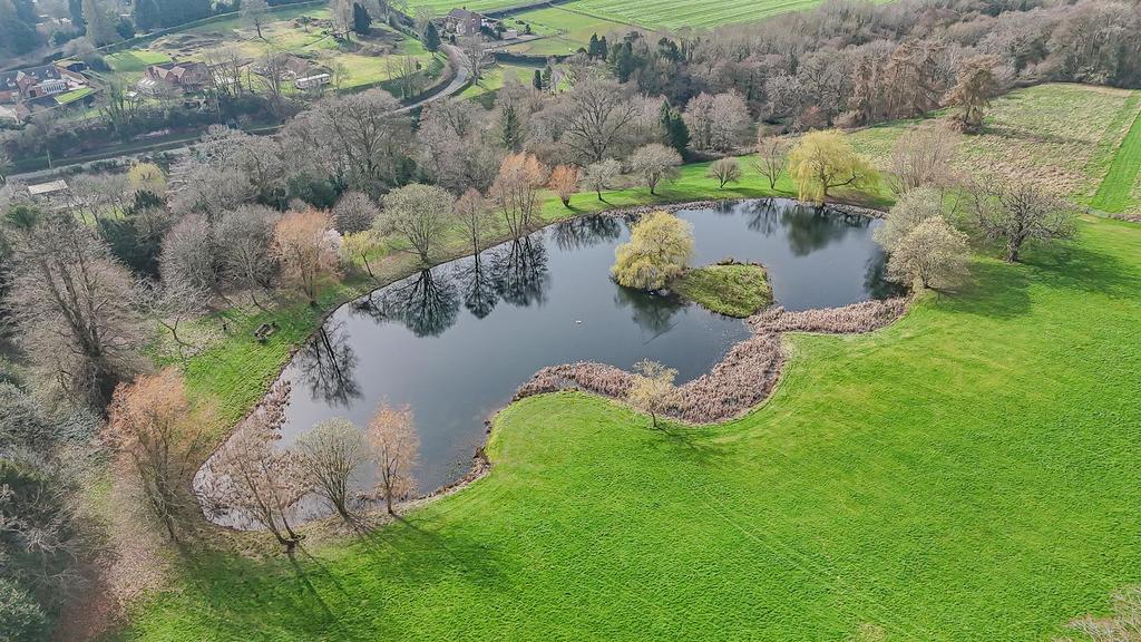 DJI 20260305132910 0864 D.jpg