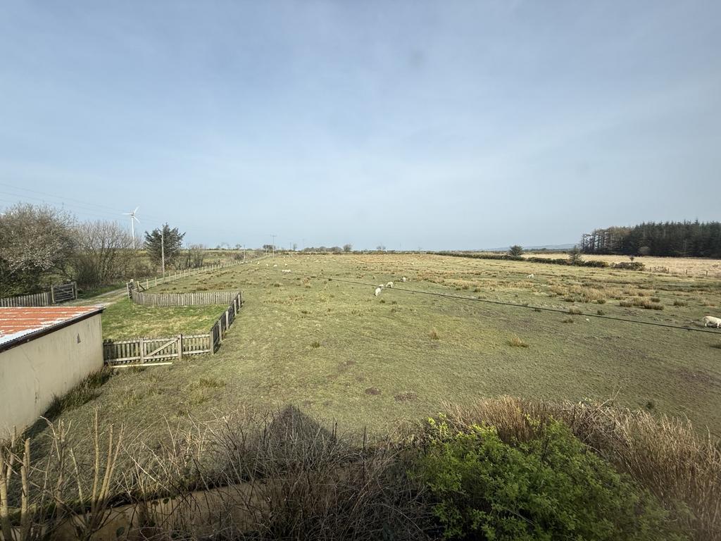 The Land