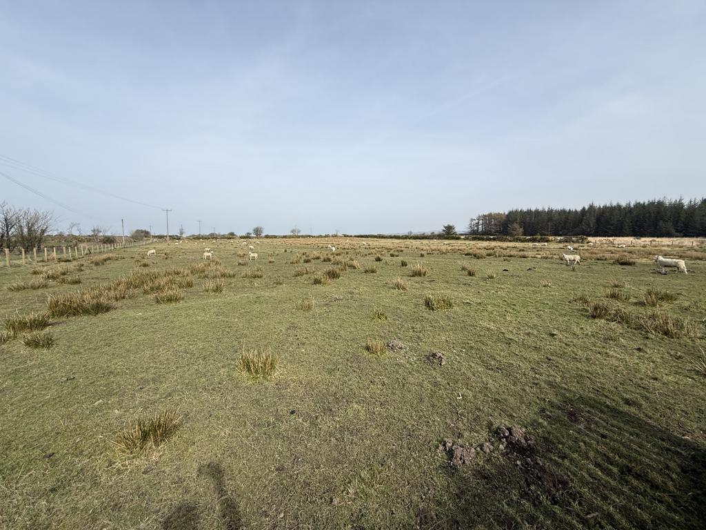 The Land