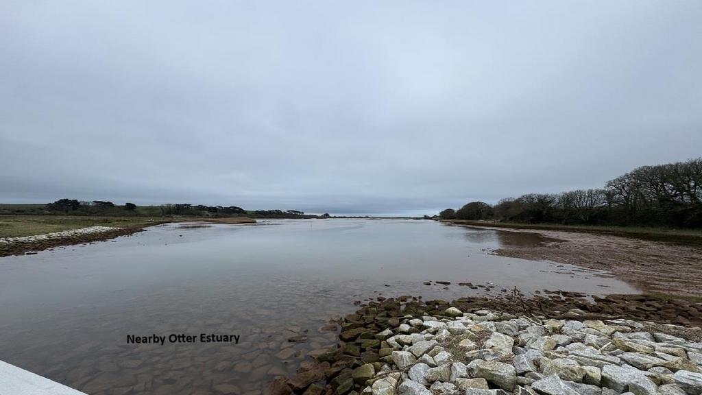 Estuary.jpg