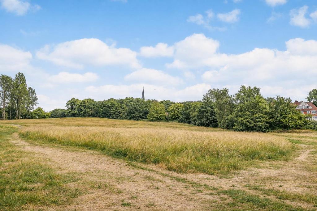Church Fields