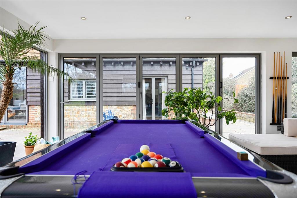 Entertaining Room/Pool Room