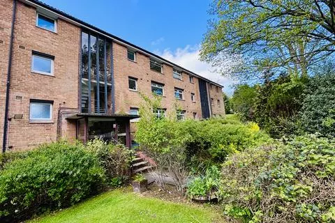 1 bedroom flat to rent,
