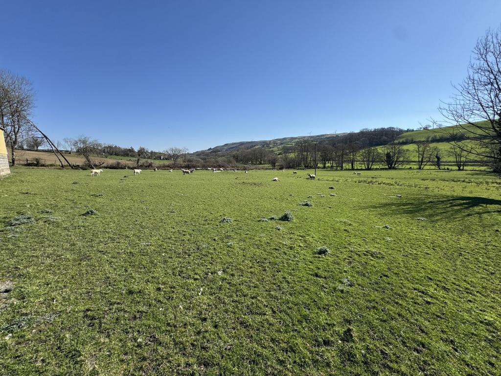 The land