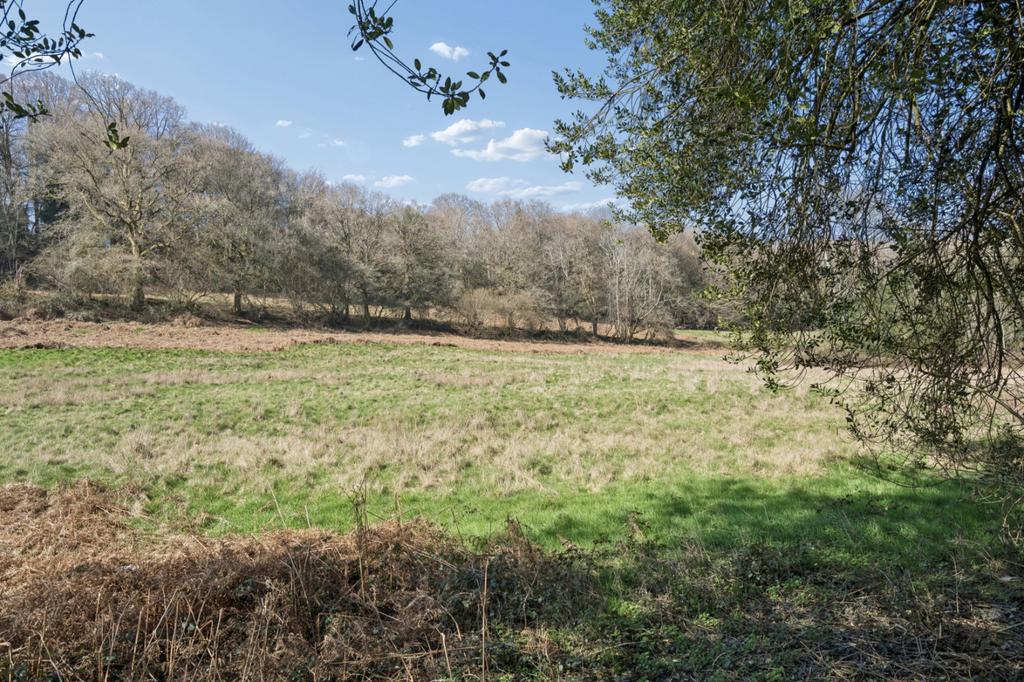 Neighbouring Field
