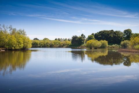 undefined, North Bestwall, Wareham, Dorset
