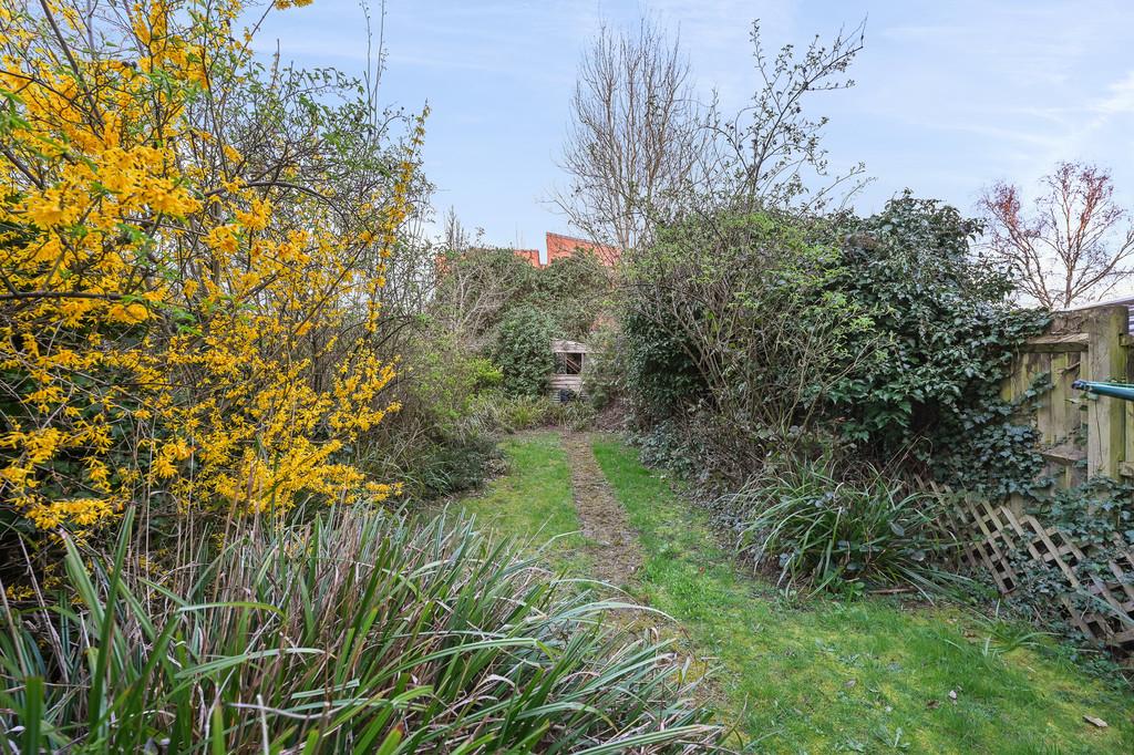 Garden view, garden