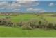 Additional image 37 of Mowsley LE17