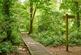 Additional image 7 of The Green, Bolley Avenue, Bordon, GU35