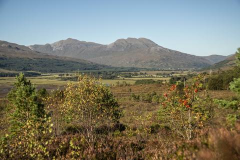 Plot for sale, Strathcarron, Wester Ross, Scottish Highlands IV54