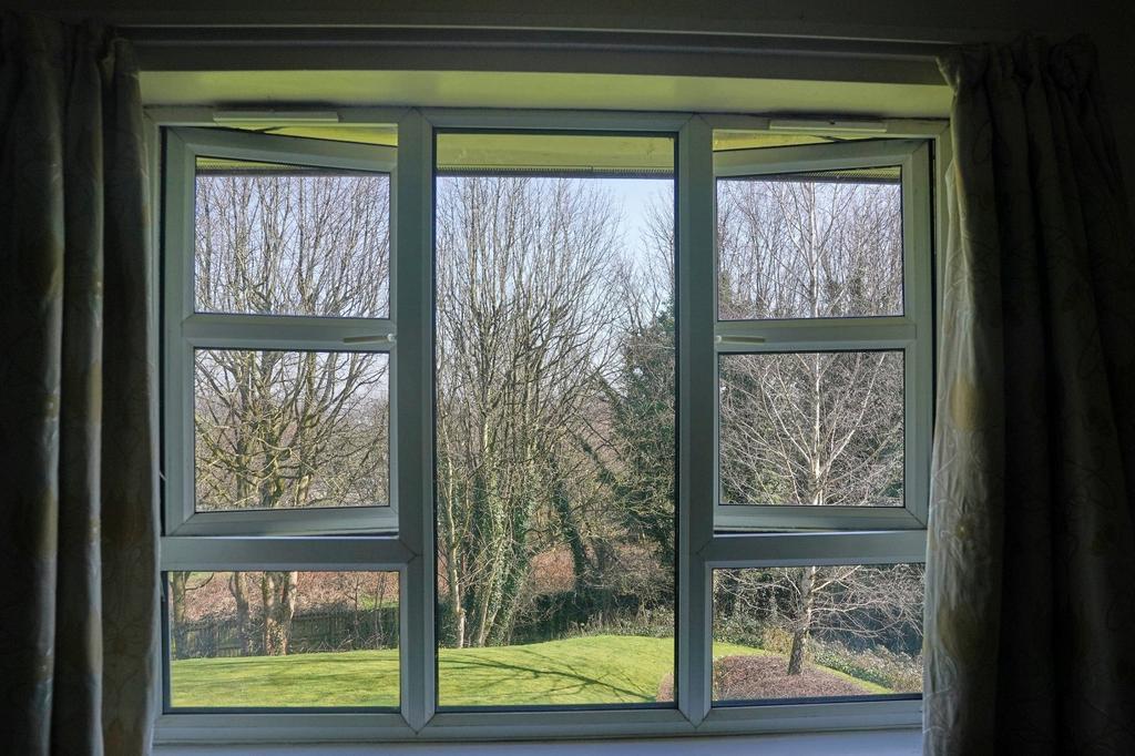 Rear Outlook