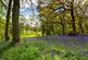 Additional image 17 of Balmains House, Stanley, Perthshire, PH1