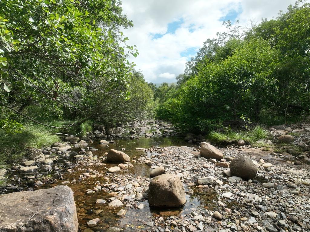 Black Water Plot With Pod, Garve, Highland, IV23 2PG - More
