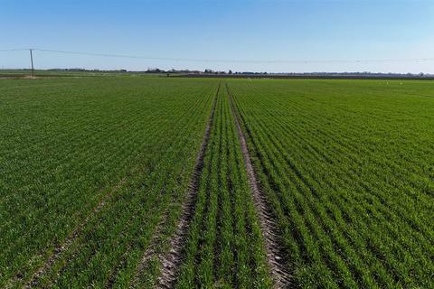 Land for sale, Hundred Foot Bank, Ely CB6