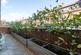 Additional image 14 of Queens Road, Weybridge, KT13