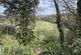 Additional image 27 of Offerton Green, Offerton