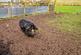 Additional image 23 of Struanlee, Georgetown, Dumfries, DG1 4QP