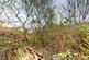 Additional image 10 of 298 Bishops Rise, Hatfield, Hertfordshire, AL10 9QT