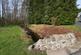 Additional image 18 of Shawsknowe, Straiton, South Ayrshire, KA19