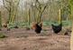 Additional image 19 of Shawsknowe Lot 1, Straiton, South Ayrshire, KA19